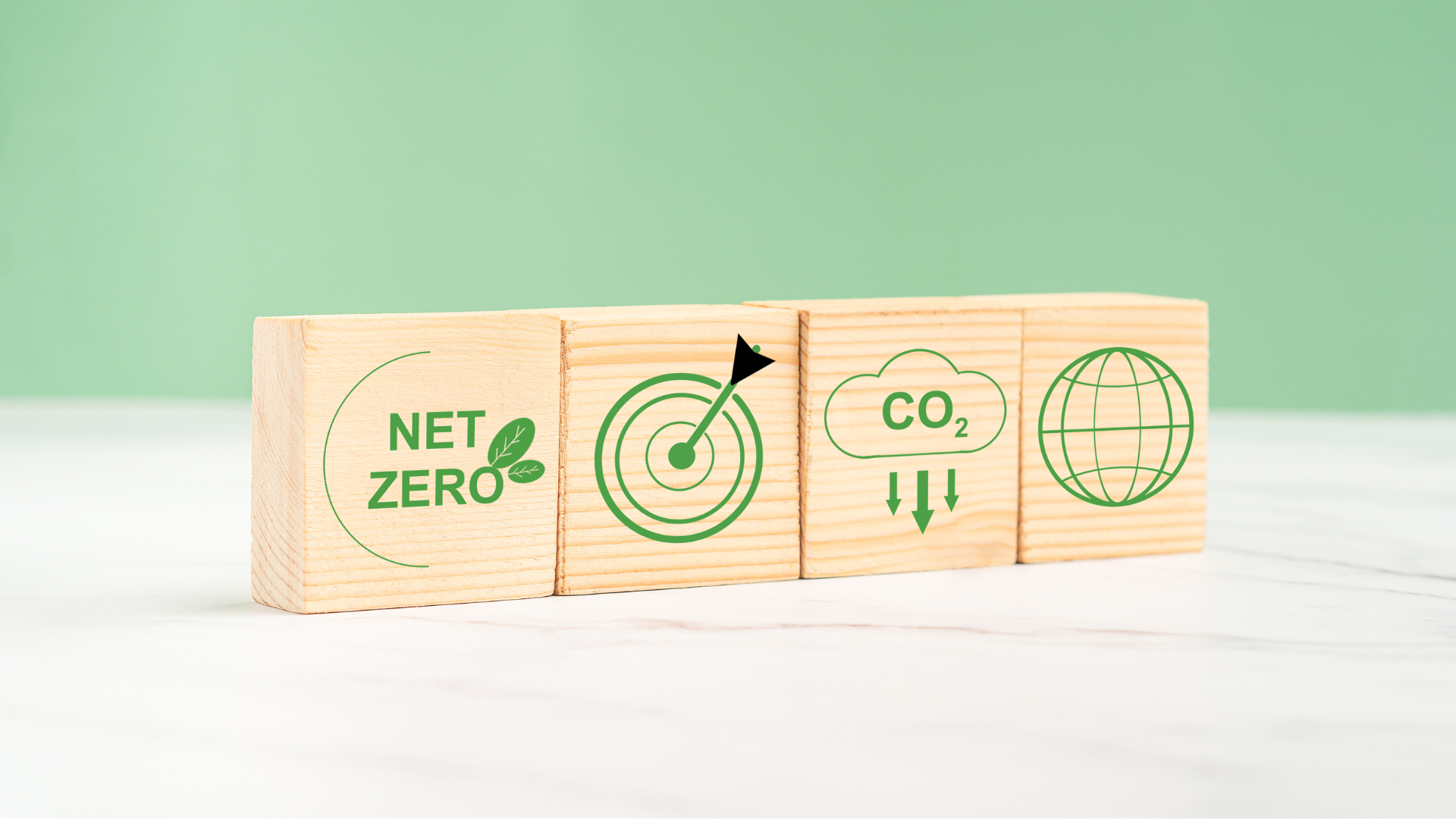 Transition to Net Zero – A Practical Guide for Businesses